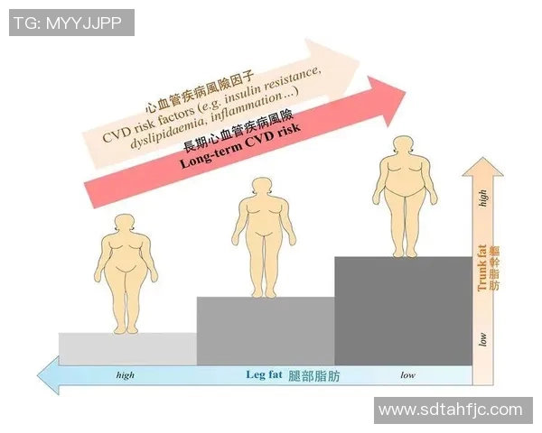 西安攀岩队节奏表现数据分析揭示训练与比赛的潜在关联性