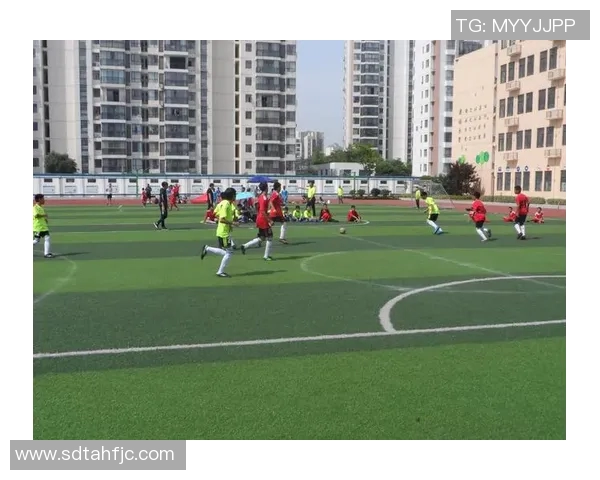 杨军独家分享足球心得与技巧助你提升球场表现和战术理解