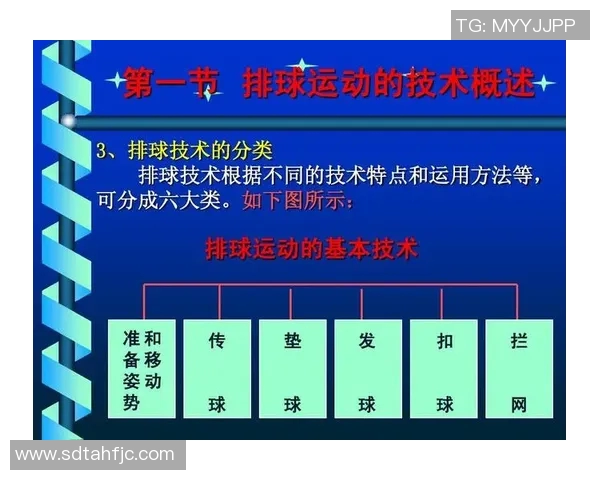 重庆排球队中路突破战术深度分析与实战应用探讨