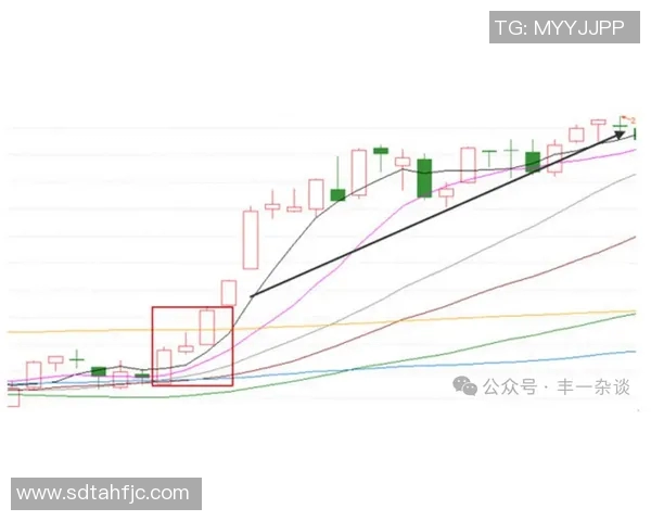 LNG在Major赛中的技术表现分析与战术解读