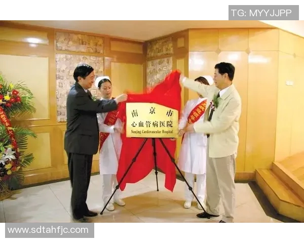 南京篮球队的转型之路：从辉煌到重生的纪实探索与反思