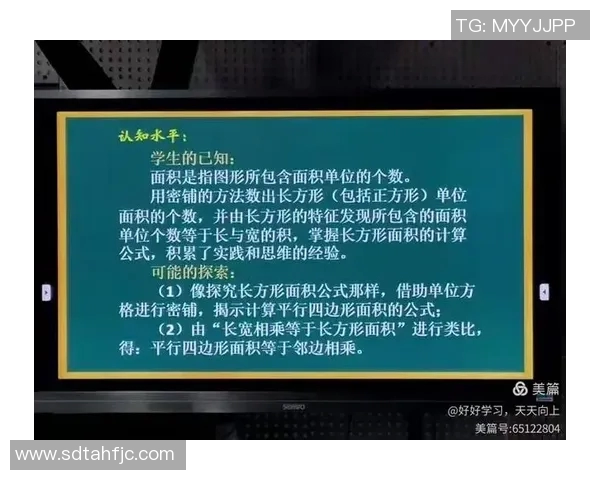 上海排球队个人能力分析与战术配合的深度探讨
